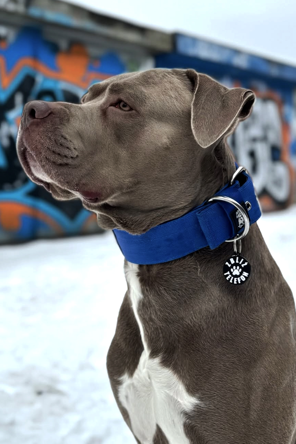 Pawcop pet