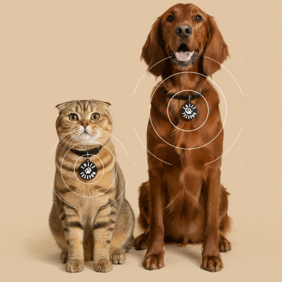 Technologia NFC Pawcop